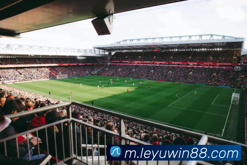 乐鱼体育平台生态图